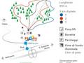 Trail map Prato (Leventina)