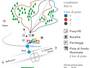 Trail map Prato (Leventina)