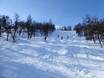 Ski resorts for advanced skiers and freeriding Funäsfjällen – Advanced skiers, freeriders Tänndalen