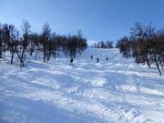 Difficult slope Maggans Fall No. 16