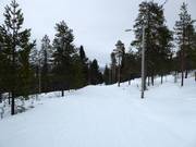 Easy Street slope