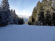 Easy slope Seehof