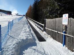 Fiocco di neve