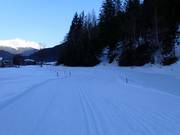 Trail in Isolaccia