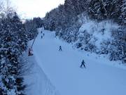 Easy forest run