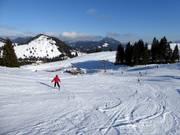 Weiße Perle slope