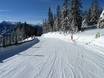 Slope offering Schladming-Dachstein – Slope offering Ramsau am Dachstein – Rittisberg