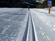 Trail at Reschen Pass