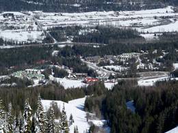 Fernie