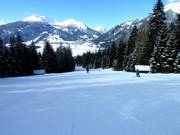 Family slope