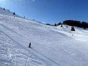 Difficult slope Waldkopf FIS
