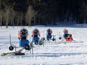 Snow cannons in Orlické Záhoří