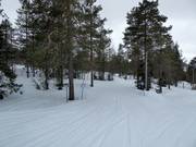 Easy slope in the Ounasvaara ski resort