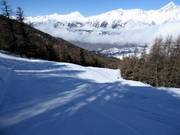 Difficult slope Arb