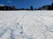 Ski resorts for advanced skiers and freeriding Hochschwarzwald – Advanced skiers, freeriders Todtnauberg