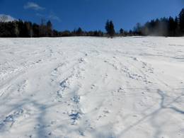Todtnauberg