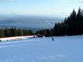 Slopes Grouse Mountain