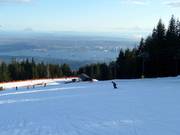 Downhill The Cut