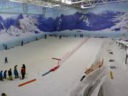 The beginner slope in the ski hall The Snow Centre Manchester