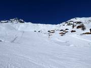 Holz downhill run
