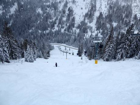 Ski resorts for advanced skiers and freeriding Selkirk Mountains – Advanced skiers, freeriders Whitewater – Nelson