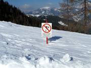 Entering the forest is prohibited