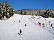 Very easy practice slope at the Village Platter