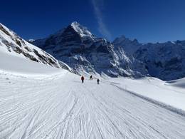 First – Grindelwald