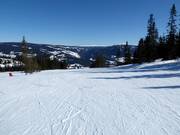 Easy slope at Barne/Skiskoleheisen