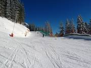 Hochfeldern Run (No. 11)