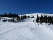 Slope No. 6
