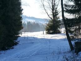 Špičák