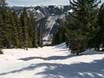 Ski resorts for advanced skiers and freeriding Elk Mountains – Advanced skiers, freeriders Aspen Highlands
