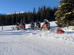 Marmot Basin – Jasper