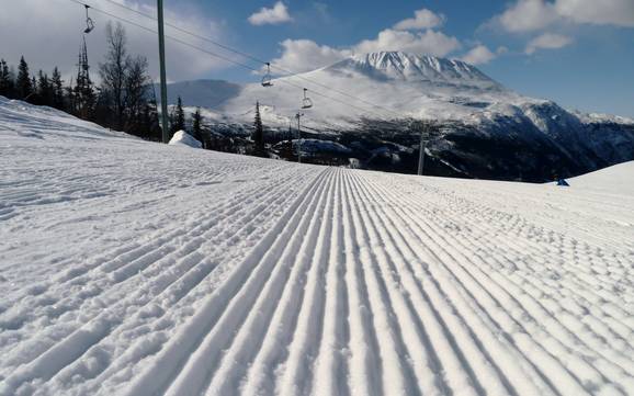 Slope preparation Telemark – Slope preparation Gaustablikk – Rjukan