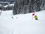 Skimovie race track