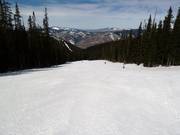 Typical forest glade run in Vail