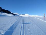Trail in Courchevel