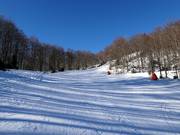 Sunny Slope