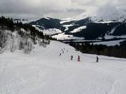 Jardin downhill run