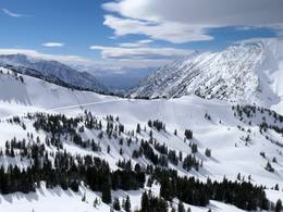 Alta