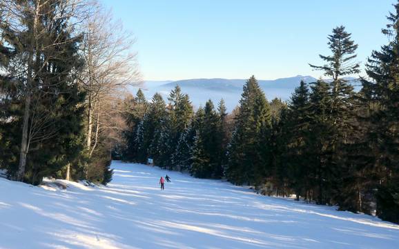 Skiing in the County of Cham