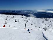 Finsterbach Freeride descent
