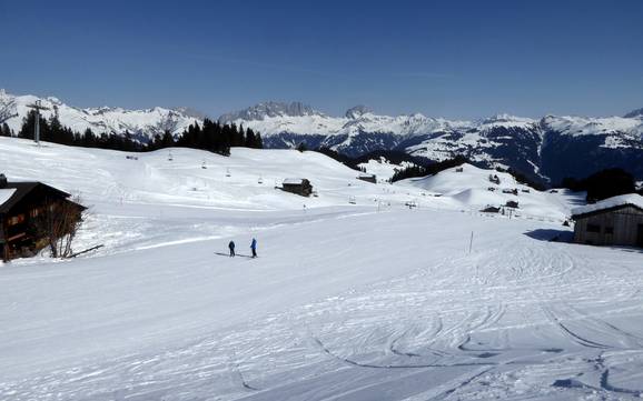 Prättigau: Test reports from ski resorts – Test report Grüsch Danusa