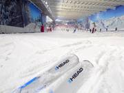 Indoor ski hall The Snow Centre