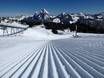 Slope preparation Central Switzerland – Slope preparation Stoos – Fronalpstock/Klingenstock