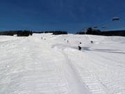 Panorama run