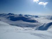 Untouched slopes await you when heliskiing