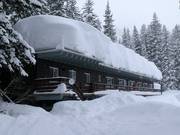 The Brighton Lodge