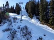 Black valley run